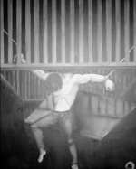 Indignation contre lexécution de prisonniers politiques en Iran