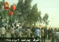 place Laleh (tulipe) &agrave; Achraf