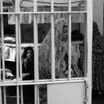 Iran : Un quotidien officiel se moque de la déclaration de l’appareil judiciaire qui affirme que les prisonniers sont bien traités