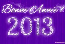 BONNE ANNEE 2013