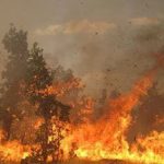Des milliers d’hectares de forêt en feu à travers l’Iran
