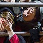 Iran : 55exécutions, dont 20 prisonniers politiques en 10 jours