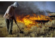 Grève chez les travailleurs de la canne à sucre dans le sud de l’Iran