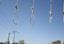 Iran : 22 exécutions en trois groupes