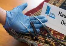 Allemagne – 45 kg d’héroïne, cachée dans des tapis en provenance d’Iran