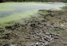 Alerte sur l’approvisionnement en eau dans les grandes villes iraniennes