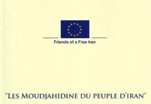 Rapport d’une mission d’enquête d’eurodéputés sur l’OMPI