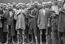 “L’Holocauste est une grande supercherie” selon le représentant de Khameneï à l’état major des forces armées Holucaust