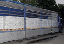 L’Allemagne saisit 330 kg d’héroïne dissimulé dans une cargaison de concombre et d’ail en provenance d’Iran iran heroin germany