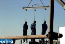 Iran – Exécution publique de trois prisonniers à Bandar Abbas (photo) execution iran