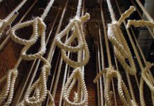 Iran : Appel de la Résistance iranienne à sauver la vie de 31 prisonniers sur le point d’être exécutés iran