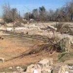 Les opposants iraniens protestent contre la destruction du cimetière de leurs martyrs