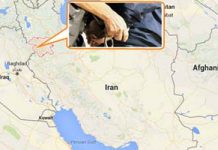 Le régime iranien arrête au moins 20 Kurdes durant la période de vacances Le régime iranien arrête au moins 20 Kurdes durant la période de vacances