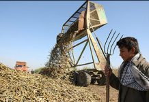 Les ouvriers d’une usine de canne à sucre en Iran protestent contre les licenciements Les ouvriers d'une usine de canne à sucre en Iran protestent contre les licenciements