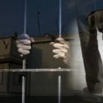 Rencontre avec des familles aux pieds nus dans la prison de Gohardacht Rencontre avec des familles aux pieds nus dans la prison de Gohardacht