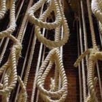 Iran : 36 exécutions dont 17 prisonniers à la prison de Vakilabad à Mashhad en une journée Iran : 36 exécutions dont 17 prisonniers à la prison de Vakilabad à Mashhad en une journée