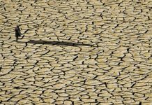 La moitié de l’Iran s’est transformée en désert, reconnaît un fonctionnaire La moitié de l'Iran s’est transformée en désert, reconnaît un fonctionnaire