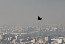Une université des services secrets va être ouverte dans le sud-ouest de l’Iran pour une plus grande oppression Une université des services secrets va être ouverte dans le sud-ouest de l’Iran pour une plus grande oppression