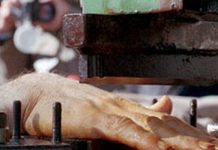 Iran : L’amputation de doigts pour un prisonnier âgé de 70 ans est sur le point d’être exécutée Iran : L’amputation de doigts pour un prisonnier âgé de 70 ans est sur le point d'être exécutée
