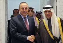 La Turquie et l’Arabie Saoudite ont convenu de vérifier l’interférence du régime iranien au Moyen-Orient La Turquie et l'Arabie Saoudite ont convenu de vérifier l'interférence du régime iranien au Moyen-Orient