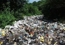 Encore un autre désastre environnemental après celui du Khūzestān en Iran Encore un autre désastre environnemental après celui du Khūzestān en Iran