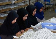 Les femmes qui nourrissent leurs familles sont victimes de l’indigence et de la discrimination Les femmes qui nourrissent leurs familles sont victimes de l’indigence et de la discrimination