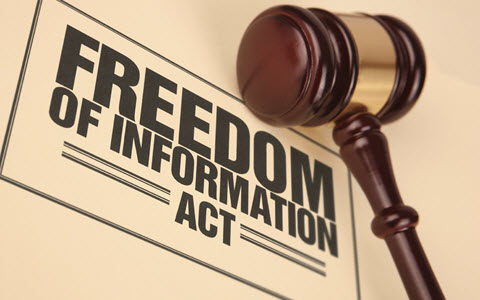 Quelles informations sur le rôle des Gardiens de la révolution en Iran ?