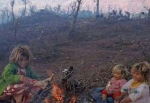 Un député du régime iranien : Plus de 1000 personnes sont mortes, les gens ont faim, ils n’ont pas de tente – vidéo Un député du régime iranien : Plus de 1000 personnes sont mortes, les gens ont faim, ils n'ont pas de tente - vidéo