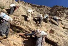 Iran : Le vice-ministre de l’Intérieur de Rohani admet sans vergogne que les porteurs sont abattus Iran : Le vice-ministre de l'Intérieur de Rohani admet sans vergogne que les porteurs sont abattus