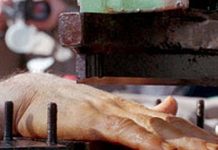 Iran: Exécution de cinq jeunes prisonniers et amputation d’une main Iran: Exécution de cinq jeunes prisonniers et amputation d'une main