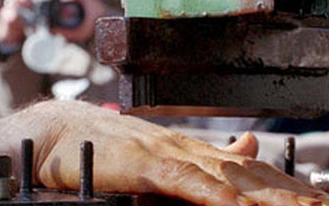 Iran: Exécution de cinq jeunes prisonniers et amputation d'une main