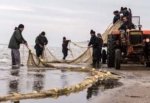 Iran : 1400 pêcheurs du Golestan restent sans salaires depuis 5 mois Iran : 1400 pêcheurs du Golestan restent sans salaires depuis 5 mois