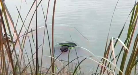 Iran-Haft-Tapeh-suicide