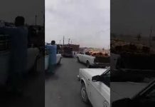 Iran, Kerman, le 10 avril, manifestation contre la chute de prix de la tomate