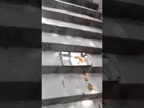 Iran, Les étudiants de Tabriz ont aligné leurs repas pour protester contre les études payantes