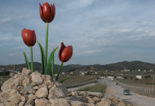 Vidéo – Reportage du journaliste Todd Wood sur la résidence des Moudjahidine du Peuple d’Iran en Albanie l’OMPI veut enfin instaurer une démocratie en Iran