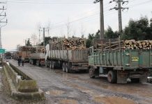 Le fléau de la déforestation en Iran Le fléau de la déforestation en Iran