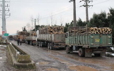 Le fléau de la déforestation en Iran