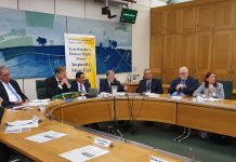 Les députés britanniques exhortent Boris Johnson à agir pour la défense des droits de l’homme en Iran Les députés britanniques exhortent Boris Johnson à agir pour la défense des droits de l'homme en Iran