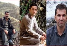 Iran : Trois militants écologistes perdent la vie dans la lutte contre les feux de forêts
