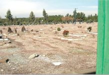 La communauté internationale doit mettre fin à l’impunité du régime iranien après le massacre de 1988
