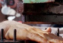 Iran : La justice des mollahs veut amputer les doigts de quatre hommes pour vol