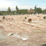 Appel international à empêcher la destruction des tombes des martyrs du massacre de 1988 à Khavaran