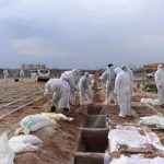 Iran : Plus de 418.000 décès dus au coronavirus