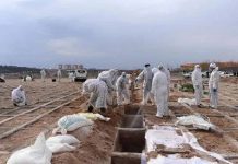 Iran : Plus de 418.000 décès dus au coronavirus