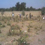 Iran : Nouvelles mesures du régime au cimetière de Khavaran pour faciliter la destruction des preuves du massacre de 1988