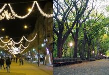 L’Iran – Les unités de la Résistance diffusent des slogans anti-régime à Téhéran et Tabriz, appelant à un changement de régime