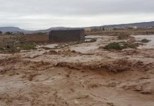 Inondations causant des pertes de vies humaines et des dévastations massives en Iran