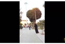 Iran : Les unités de résistance font campagne à la veille de la 58e année de la fondation de l’OMPI