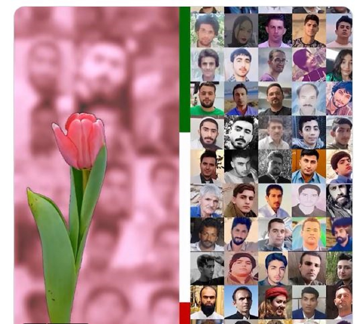 Iran - Publications de 17 nouveaux noms de martyrs du soulèvement national